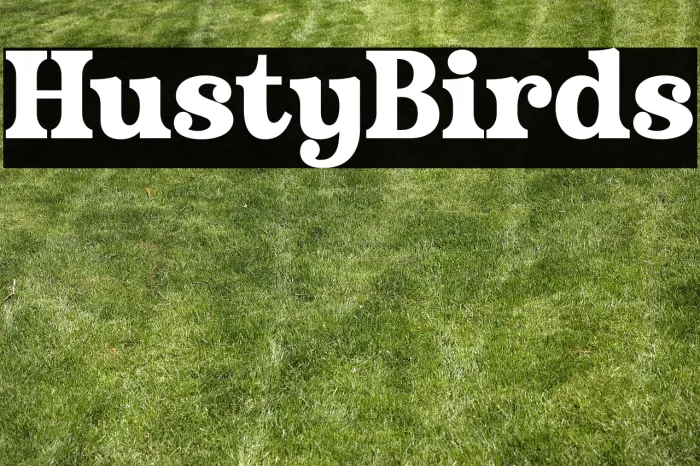 Husty Birds Example 2