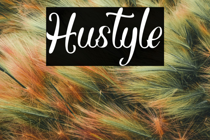 Hustyle Example 2