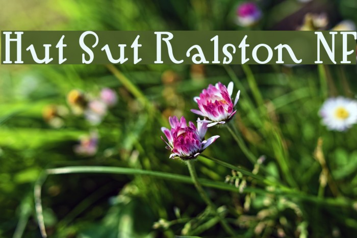 Hut Sut Ralston NF Font examples