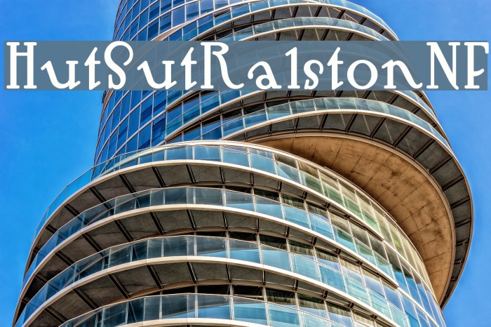 HutSutRalstonNF Example 1