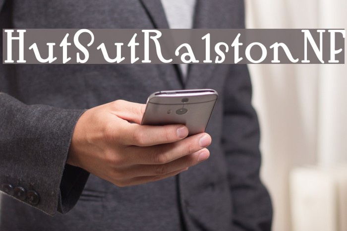 HutSutRalstonNF Example 2