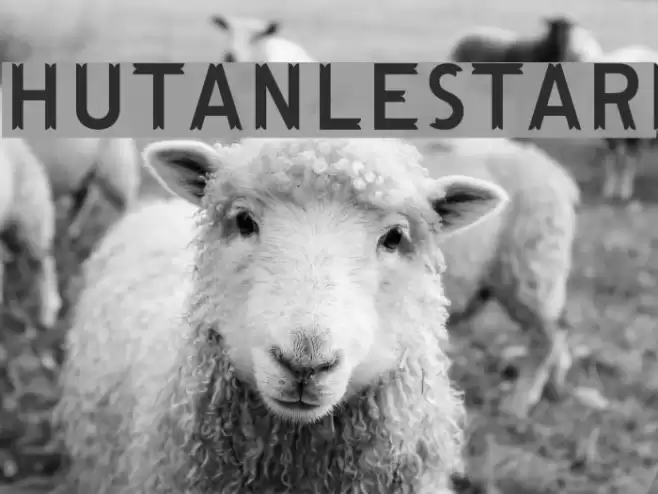 HutanLestari Font examples