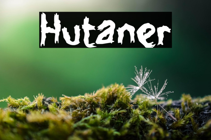 Hutaner Example 1