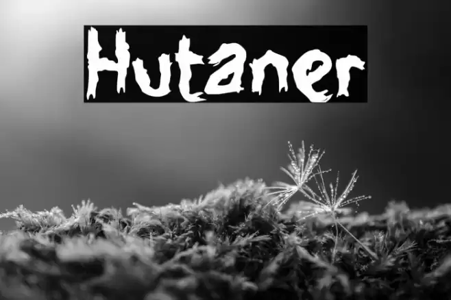 Hutaner Font examples