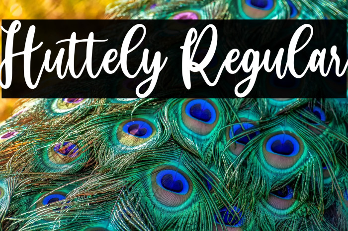 Huttely Regular Example 2