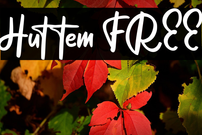 Huttem FREE Example 2