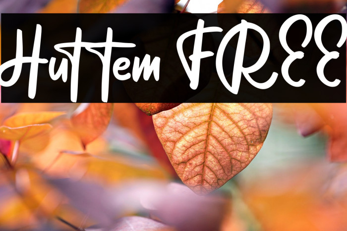 Huttem FREE Example 3