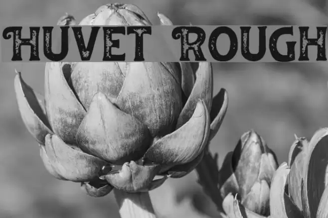 Huvet Rough Font examples