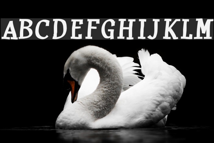 Huxtable Font examples