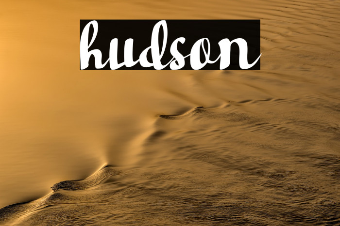 hudson Example 2