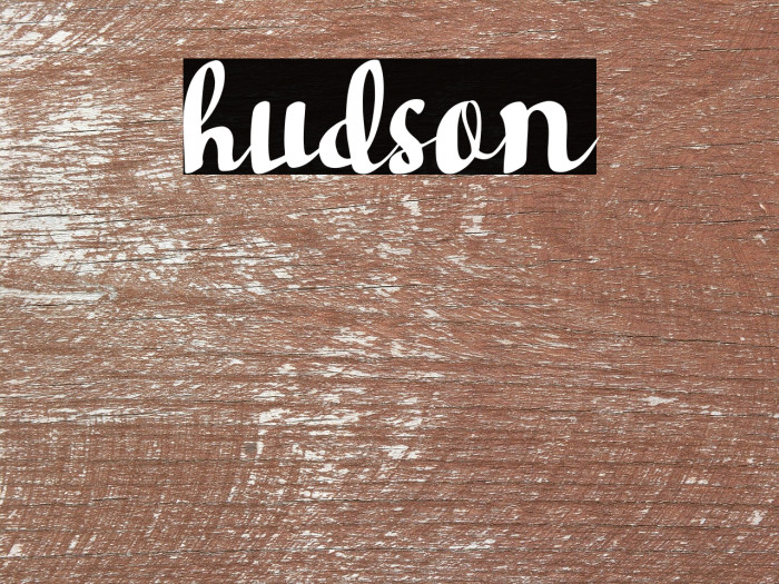 hudson Example 3
