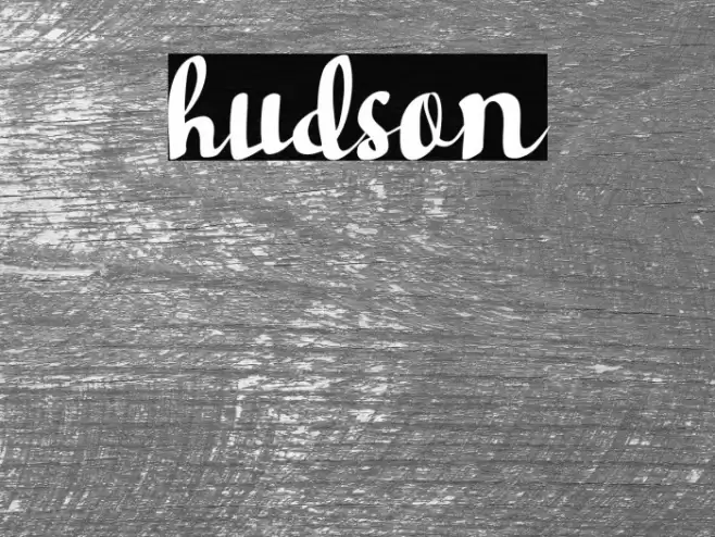 hudson Font examples