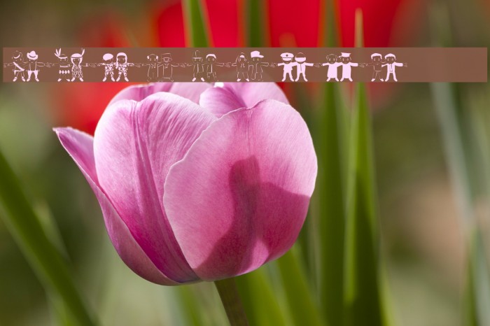 human chain Example 3