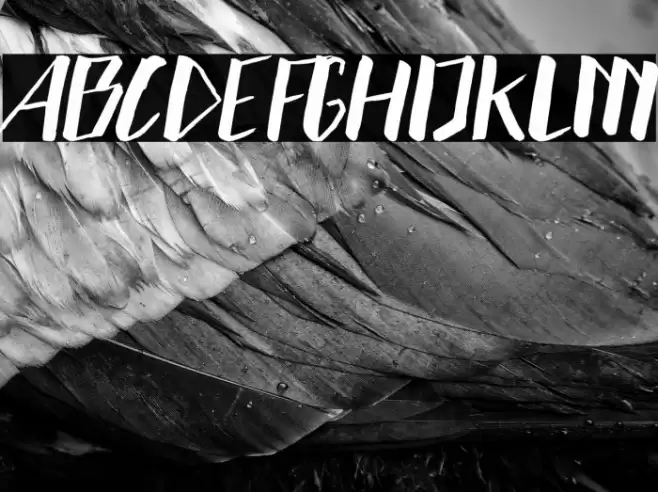 hummer Font examples