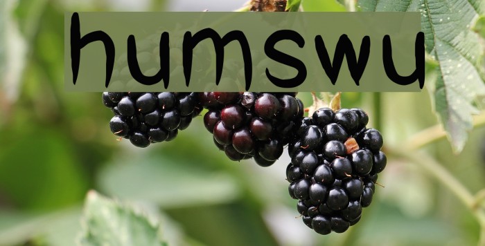 humswu Font examples