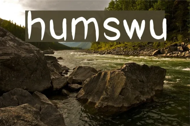 humswu Example 3