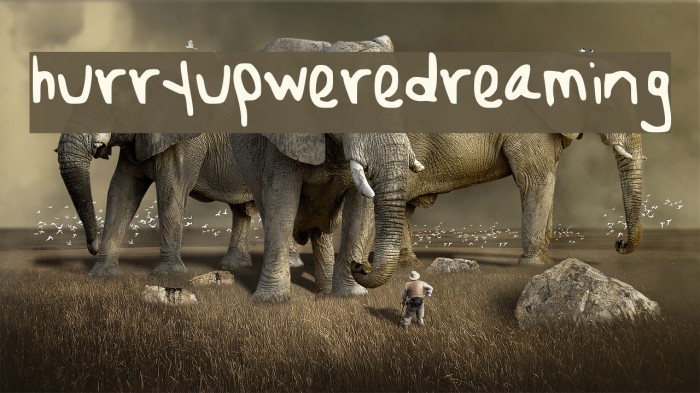 hurryupweredreaming Example 3