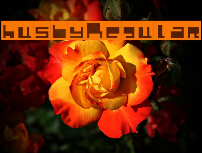 husby Regular Font examples