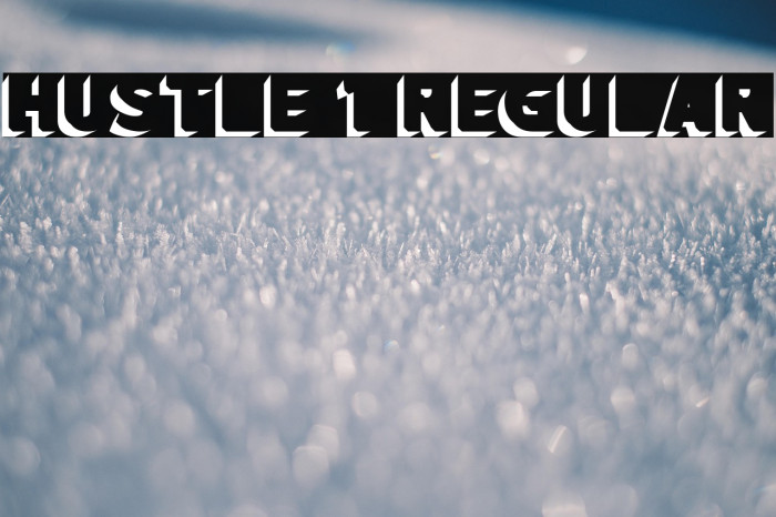 hustle 1 Regular Example 2