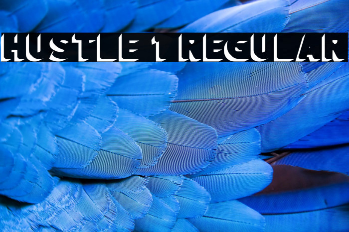 hustle 1 Regular Example 3