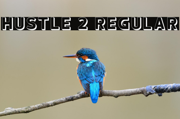 hustle 2 Regular Example 2