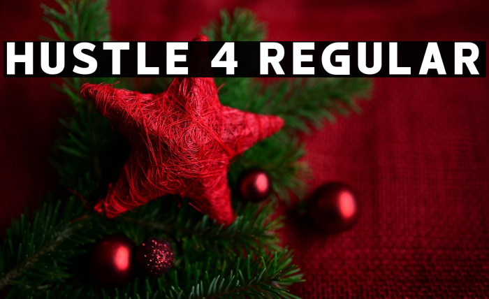 hustle 4 Regular Example 1