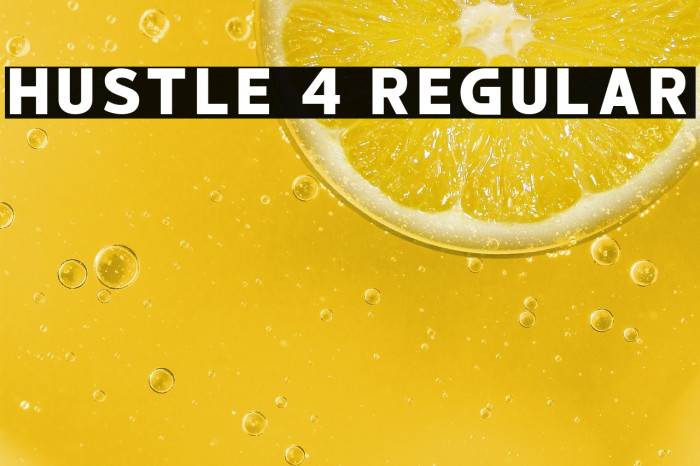 hustle 4 Regular Example 2
