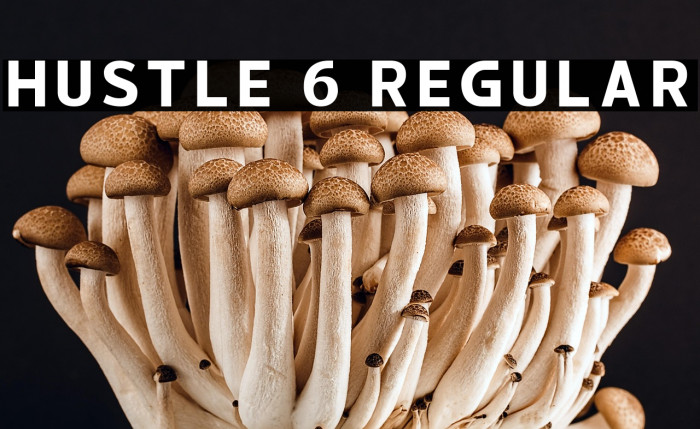 hustle 6 Regular Example 2