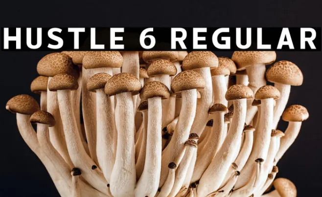 hustle 6 Regular Example 2