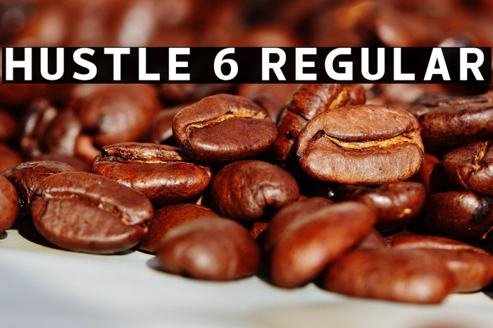 hustle 6 Regular Example 3