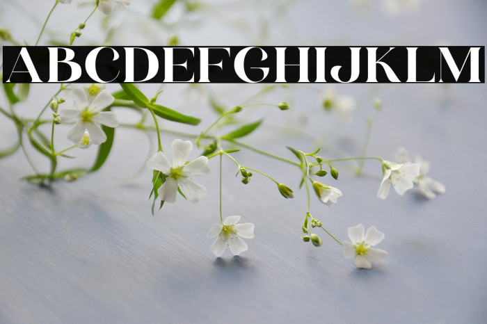 HV Weist Havanah Trial Regular Example 1