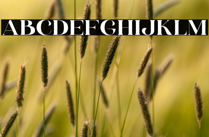 HV Weist Havanah Trial Regular Example 2