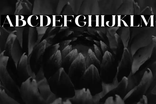 HV Weist Havanah Trial Regular Font examples