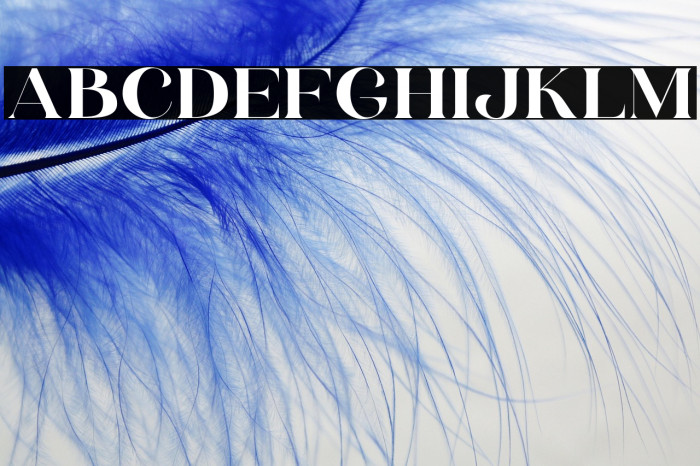 HV Weist Havanah Trial Regular Example 3