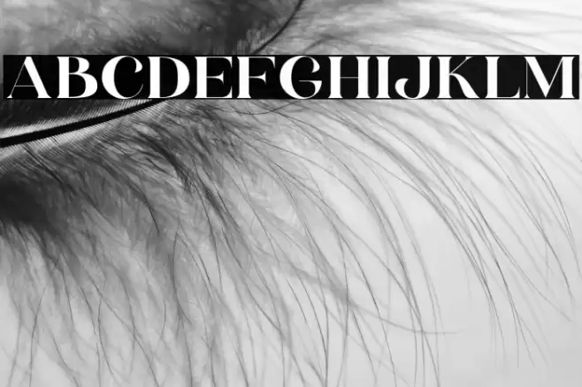 HV Weist Havanah Trial Regular Font examples