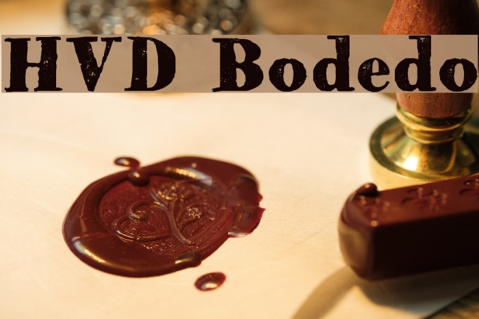 HVD Bodedo Polices examples