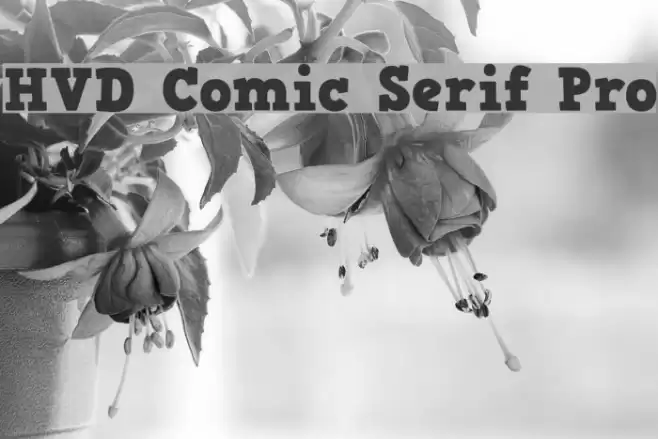 HVD Comic Serif Pro Font examples