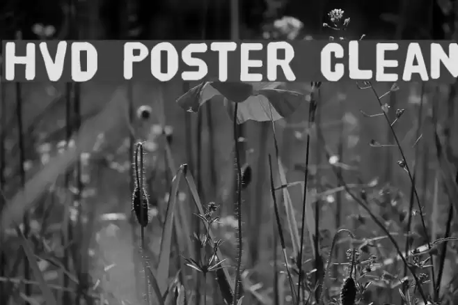 HVD Poster Clean Font examples