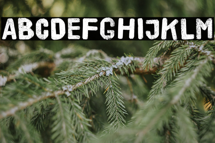 HVD Poster Example 1