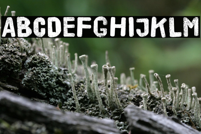 HVD Poster Example 2