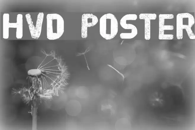 HVD Poster Шрифта examples