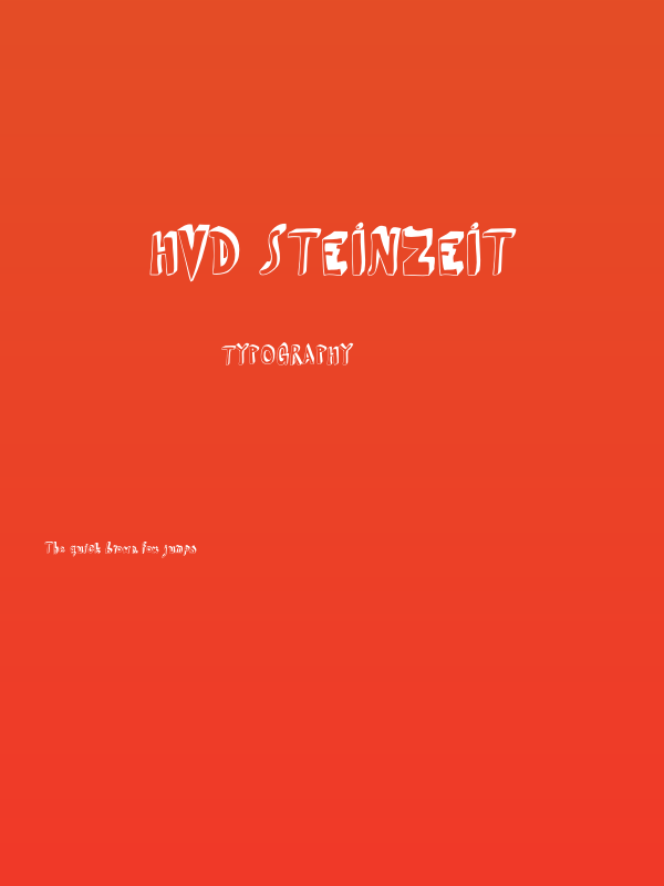 HVD Steinzeit Poster