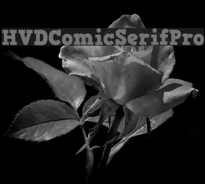 HVDComicSerifPro Font examples