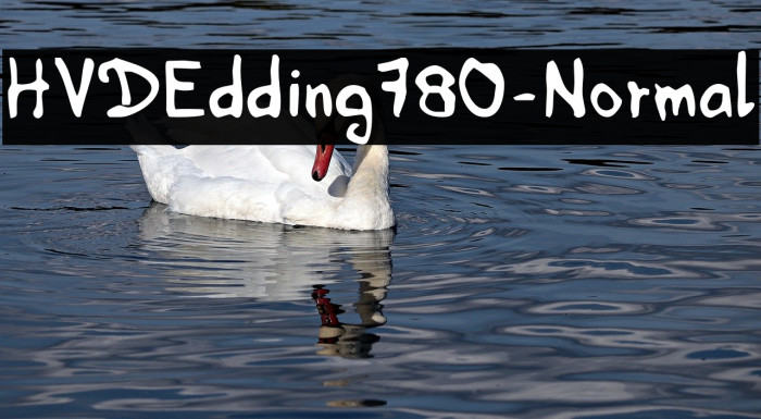 HVDEdding780-Normal Font examples