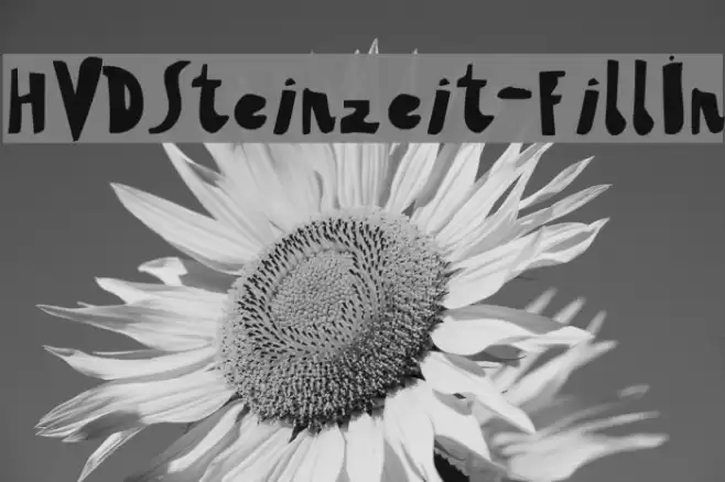 HVDSteinzeit-FillIn Font examples