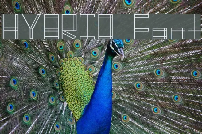 HYBRID  Font Example 2