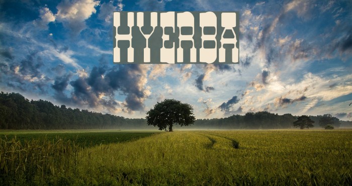 HYERBA Schriftart examples