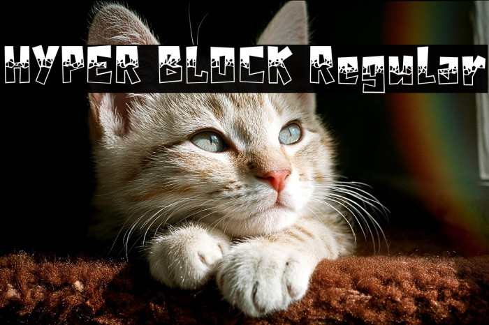 HYPER BLOCK Regular Example 1