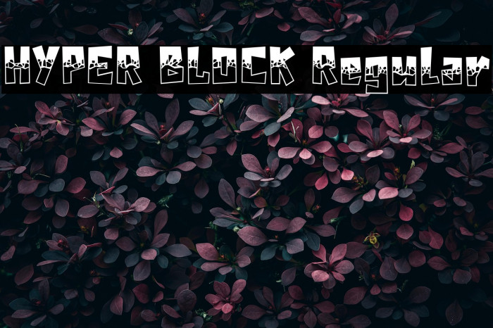 HYPER BLOCK Regular Example 2