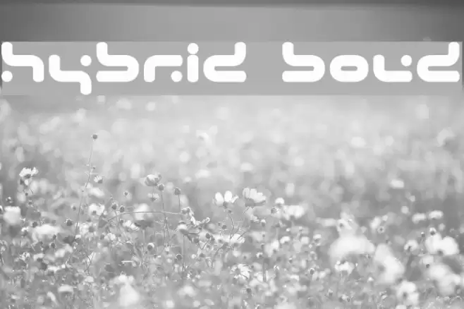 Hybrid Bold Font examples